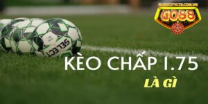 Kèo chấp 1.75 là sao